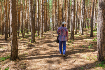 Fototapeta premium One woman walks with a small brown dog in a pine forest. Summer sunny day