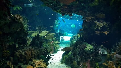 Visiting Lisbon Oceanarium
