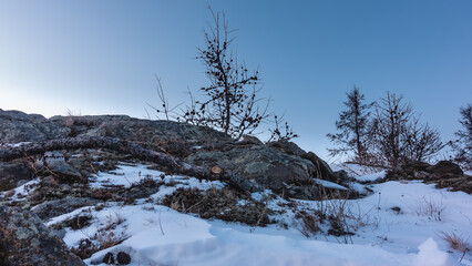 Dry grass and lichens grow on the rocks. There is a broken branch in the snow. Bare trees against the sky. Siberia in winter.