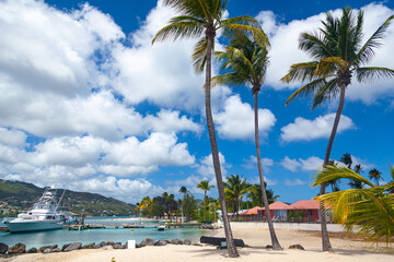 View of the Caribbean island of Martinique in French Polynesia. The Martinique coast with turquoise water, palm trees and a gorgeous beach, a yacht is moored by the beach.