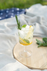 Summer cocktail with tonic, fresh lemon, lime, mint and ice-cubes