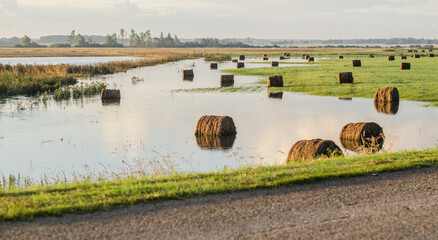 Hay rolls are located in flooded river water in the autumn. © Bargais