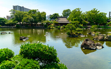 日本の庭園「伝統的庭園・植木・盆栽・松・池・錦鯉」 Japanese garden...
