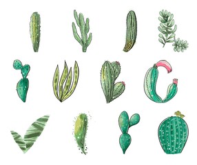 Cactus seamless pattern. Watercolor pattern of catus on white background. Green thorns Mexican succulent. Exotic cacti houseplant background