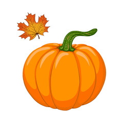 Watercolor cartoon orange pumpkin and autumn maple leaf vector set. Fall season, harvest, Thanksgiving Day symbol. Hand drawn design element isolated for poster, frame, greeting card, invitation