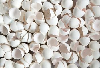 White eggshell background. Broken eggshells. Natural texture.