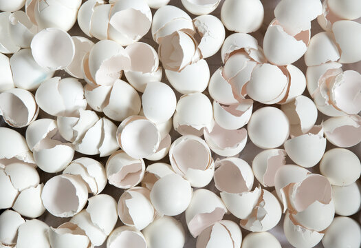 White eggshell background. Broken eggshells. Natural texture.