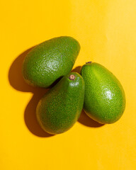Fresh avocados on color background