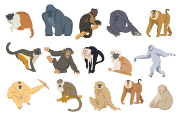 Cartoon monkey set vector illustration. Exotic colorful primates, apes, chimpanzees, orangutans, gorillas sitting, standing, walking in white background. Animal, wild nature, zoo concept for design © SurfupVector
