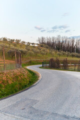 Road / Montello in Italy