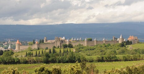 Fototapeta na wymiar Château et remparts de la cité de Carcassonne dans l'Aude en Roussillon Occitanie France