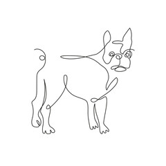 Boston Terrier. The dog is drawn in one line. Minimalistic graphics.