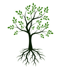 Green tree and roots. Vector illustration.