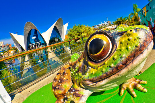 The Oceanografic, City of Arts and Sciences, Valencia, Comunidad Valenciana, Spain, Europe