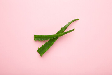 Flat lay composition with fresh aloe vera leaves and space for text on pink background - obrazy, fototapety, plakaty