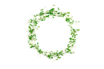 Watercress microgreens on white background, isolate. Microgreen circle with place for text. Vegan and healthy food concept - obrazy, fototapety, plakaty