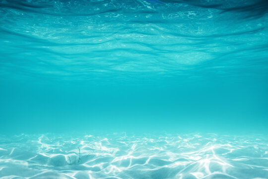 Sea sand and blue water. Underwater. ocean background