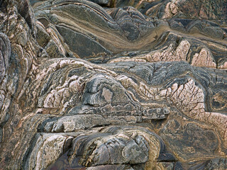 Highly folded stratified layers of rock at sea level on the Ness of Hillswick, Northmavine,...