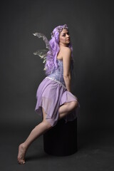 Full length portrait of a purple haired  girl wearing fantasy corset dress with fairy wings and flower crown.  Seated pose against a dark studio background.