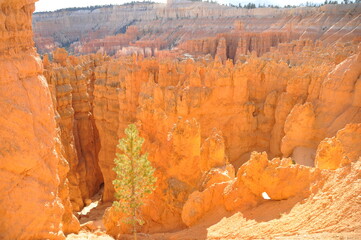 Scenic panorama of rock formations at sunny day in Paunsaugunt Plateau of Bryce Canyon National Park, USA