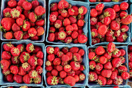 Strawberries at the Hilliard, Ohio, Farmer's Market