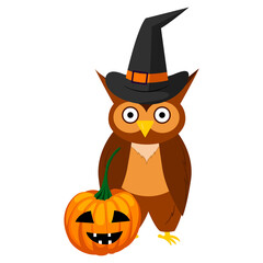 cartoon owl in a hat, pumpkin, halloween. vector isolated on white background