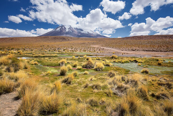 Majestic view of Volcano, clouds and desert grass in Bolivia, South America