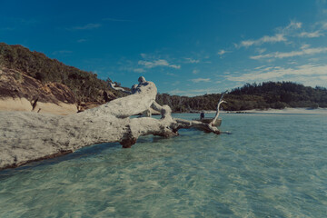 Fototapeta premium Whitesundays