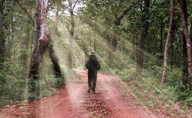 Obraz premium A man in trekking clothes is walking along a path inside a forest lit by a beautiful line of sunlight.