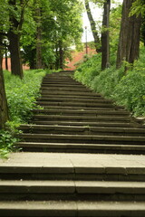 Fototapeta premium Stairway to the fortress