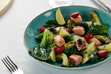 Salmon and avocado fillet salad with artichokes, fried salmon cubes in sauce with grilled vegetables, avocado and artichokes, light background, close-up.