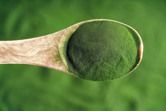 Green chlorella algae powder on a spoon. Healthy food.