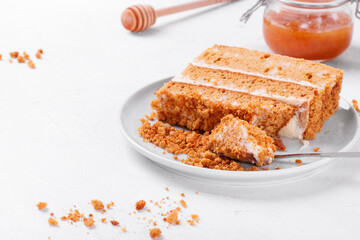 Piece of honey cake, Medovik, with sour cream on the ceramic plate on white table. Russian dessert