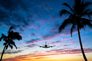 Sunset with silhouettes of palm trees on the sides of the photo and a flying airplane. Vacation, travel concept.