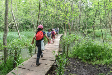 enfant detente excursion scolaire bois passerelle ruisseau nature Belgique Wallonie Lauzelle...