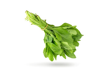 Fresh green spinach leaves isolated on white background