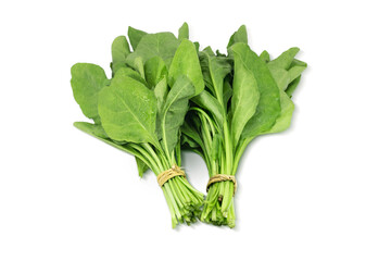 set of two bundle of fresh green spinach leaves