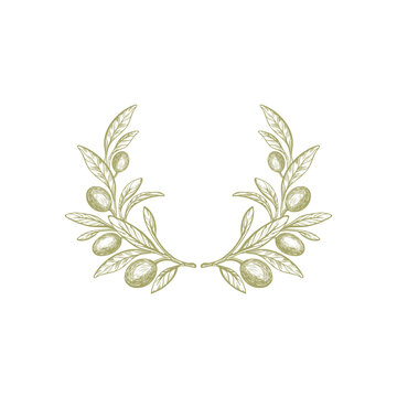 Olive branch, wreath. Vector fruit, green foliage