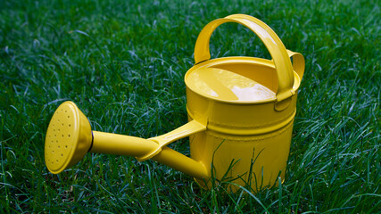 Garden watering can. Metal, yellow watering can.