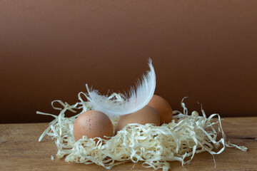 Eggs in a nest with swan down