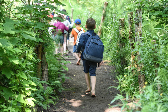 enfant groupe jeune nature ballade foret bois Lauzelle nature decouverte excursion scolaire Belgique Wallonie environnement sentier