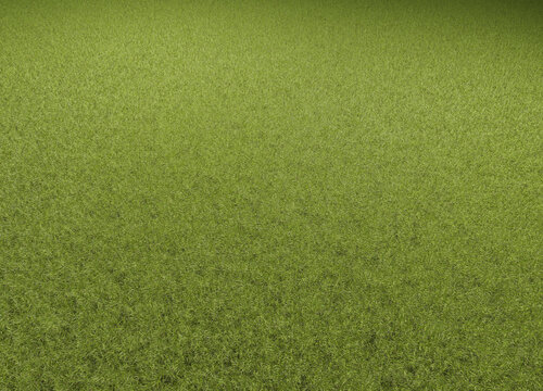 A green lawn with text free space as a sports field background