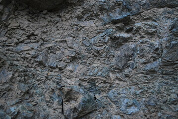 Real and quality images from natural world 