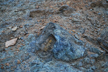 Real and quality images from natural world 