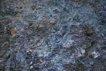 Real and quality images from natural world 