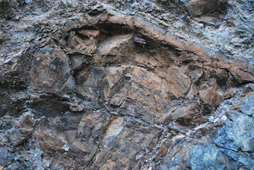 Real and quality images from natural world 