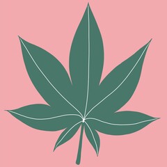 Cannabis leaf freehand drawing on pink background.