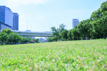 晴天の芝生公園
