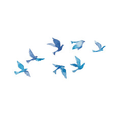 青い鳥の群れ