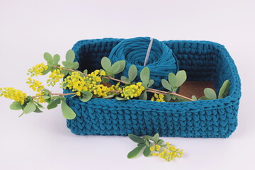 Crochet blue green basket with yellow  berberis flower branch on white background